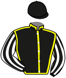 casaque portée par Guyon M. jockey du cheval de course DARINGA, information pmu ZETURF