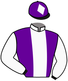 casaque portée par Mangione R. jockey du cheval de course PETITE PLAISANCE, information pmu ZETURF