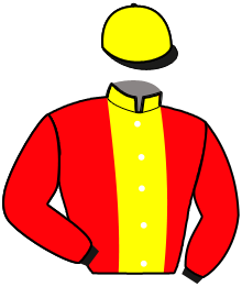 casaque portée par Grisez Seb. jockey du cheval de course GOHAKI, information pmu ZETURF