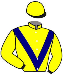 casaque portée par Breux D. jockey du cheval de course QATAR RIVER, information pmu ZETURF