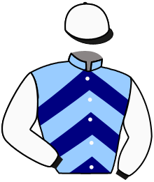 casaque portée par Molins Mme Amb. jockey du cheval de course BOHEMOS, information pmu ZETURF