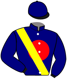 casaque portée par Boisseau L. jockey du cheval de course KING DINO, information pmu ZETURF
