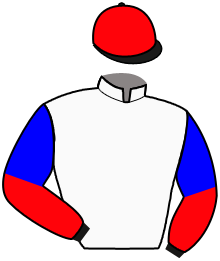 casaque portée par Lebouc Hug. jockey du cheval de course GOKY, information pmu ZETURF