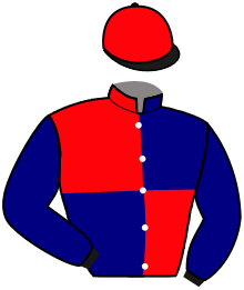 casaque portée par Madamet A. jockey du cheval de course MANIGOD, information pmu ZETURF