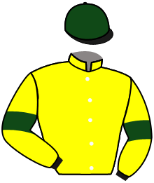 casaque portée par Poincot R. jockey du cheval de course CHASING GREAT, information pmu ZETURF