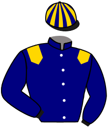 casaque portée par Richard G. jockey du cheval de course MATIGNON LEON, information pmu ZETURF