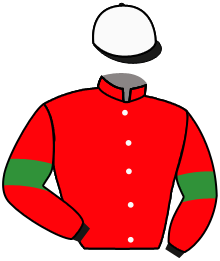casaque portée par Andrieux T. jockey du cheval de course SEMPER FORTIS, information pmu ZETURF