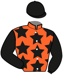 casaque portée par Julien N. jockey du cheval de course LOUSTIC D'ARKOZ, information pmu ZETURF