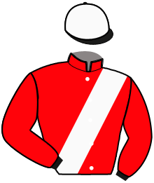 casaque portée par Sorel J. Ch. jockey du cheval de course KANEA DE L'ABBAYE, information pmu ZETURF