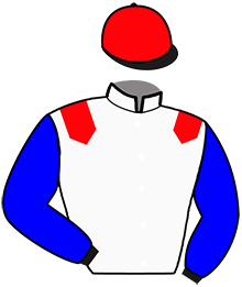 casaque portée par Polizzi P. jockey du cheval de course HATOUT DE CONNEE, information pmu ZETURF