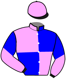 casaque portée par Gilles Ph.G. jockey du cheval de course GASTON DU ROC, information pmu ZETURF