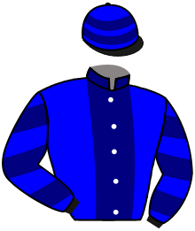 casaque portée par Guyon M. jockey du cheval de course STILYKER, information pmu ZETURF