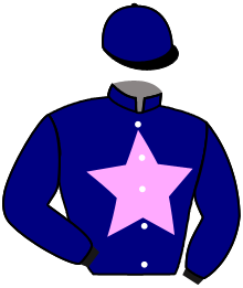 casaque portée par Lemaitre A. jockey du cheval de course BREEZE D'AUTEUIL, information pmu ZETURF