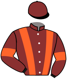 casaque portée par Poggionovo Mme Lau. jockey du cheval de course GOT SHINE, information pmu ZETURF