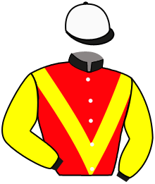 casaque portée par Abrivard M. jockey du cheval de course LOVE TO RUN, information pmu ZETURF