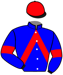 casaque portée par Abrivard M. jockey du cheval de course INDIEN DE FONTAINE, information pmu ZETURF