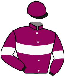 casaque portée par Masson A. jockey du cheval de course SANNY, information pmu ZETURF