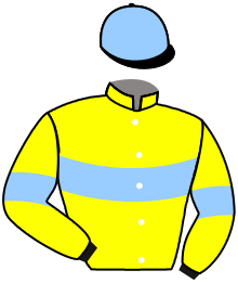 casaque portée par Carboni Luc. jockey du cheval de course PIERRE PREMIER, information pmu ZETURF