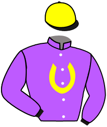 casaque portée par Valle Skar Mlle F. jockey du cheval de course ZABIR, information pmu ZETURF