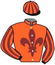 casaque portée par Flandrin B. jockey du cheval de course NAJEM SHALGHODA, information pmu ZETURF