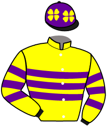 casaque portée par Weidler Mme A. L. jockey du cheval de course WOODSTONE, information pmu ZETURF