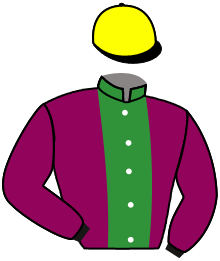casaque portée par Puillet-roda Emi. jockey du cheval de course LOUVRE, information pmu ZETURF