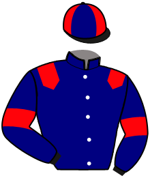 casaque portée par Marty F. jockey du cheval de course MISTER SOLO, information pmu ZETURF