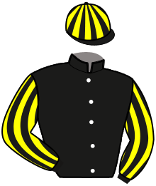 casaque portée par Brossard N. R. jockey du cheval de course KEKOA, information pmu ZETURF