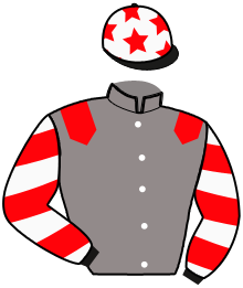casaque portée par Ducos Th. jockey du cheval de course ICEMAN CASTELETS, information pmu ZETURF