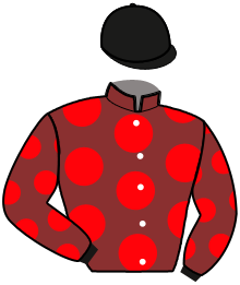 casaque portée par Criado M. jockey du cheval de course INCA DE MONE, information pmu ZETURF