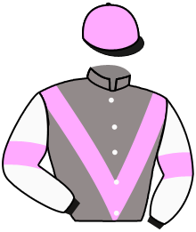 casaque portée par Meury G. jockey du cheval de course LOUIS DEUX, information pmu ZETURF