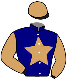 casaque portée par Lecoeuvre C. jockey du cheval de course NOELLE DOREE, information pmu ZETURF