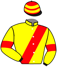 casaque portée par Guyon M. jockey du cheval de course CASIM, information pmu ZETURF
