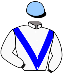 casaque portée par Lecoeuvre C. jockey du cheval de course MODERN SPIRIT, information pmu ZETURF