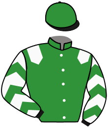casaque portée par Lecoeuvre C. jockey du cheval de course ADLAN SENORA, information pmu ZETURF