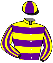 casaque portée par Molins Mme Amb. jockey du cheval de course SHOWBOATED, information pmu ZETURF