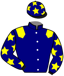 casaque portée par Ploquin Pau. Ph. jockey du cheval de course HUGO DU BOURG, information pmu ZETURF