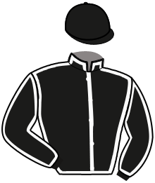 casaque portée par Thomain D. jockey du cheval de course HOTEL MYSTIC, information pmu ZETURF