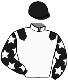 casaque portée par Ploquin Pau. Ph. jockey du cheval de course MARSHAL DE CELLAND, information pmu ZETURF