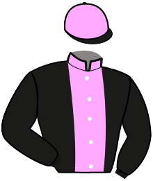casaque portée par Bazire J. M. jockey du cheval de course KALEO DE BANVILLE, information pmu ZETURF