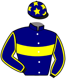 casaque portée par Mottier M. jockey du cheval de course MARION D'HAFLING, information pmu ZETURF