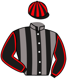 casaque portée par Bachelot T. jockey du cheval de course HALL OF FAME, information pmu ZETURF