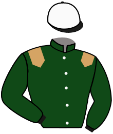 casaque portée par Boisseau L. jockey du cheval de course FREEZING STARS, information pmu ZETURF