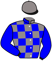 casaque portée par Michel Mlle Mic. jockey du cheval de course AMOUREUSE, information pmu ZETURF