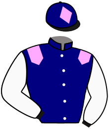 casaque portée par Journiac H. jockey du cheval de course INITIALS BEBE, information pmu ZETURF