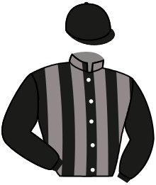 casaque portée par Boutin Hug. jockey du cheval de course PINGO, information pmu ZETURF