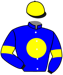 casaque portée par Germain Mlle M. jockey du cheval de course IRELIA, information pmu ZETURF