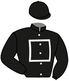 casaque portée par Provost D. jockey du cheval de course SYLVABELLE, information pmu ZETURF