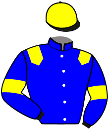 casaque portée par Gout R. jockey du cheval de course HURRICANE FRANCE, information pmu ZETURF