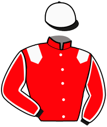 casaque portée par Repichet P. jockey du cheval de course JOYEUSE MAB, information pmu ZETURF